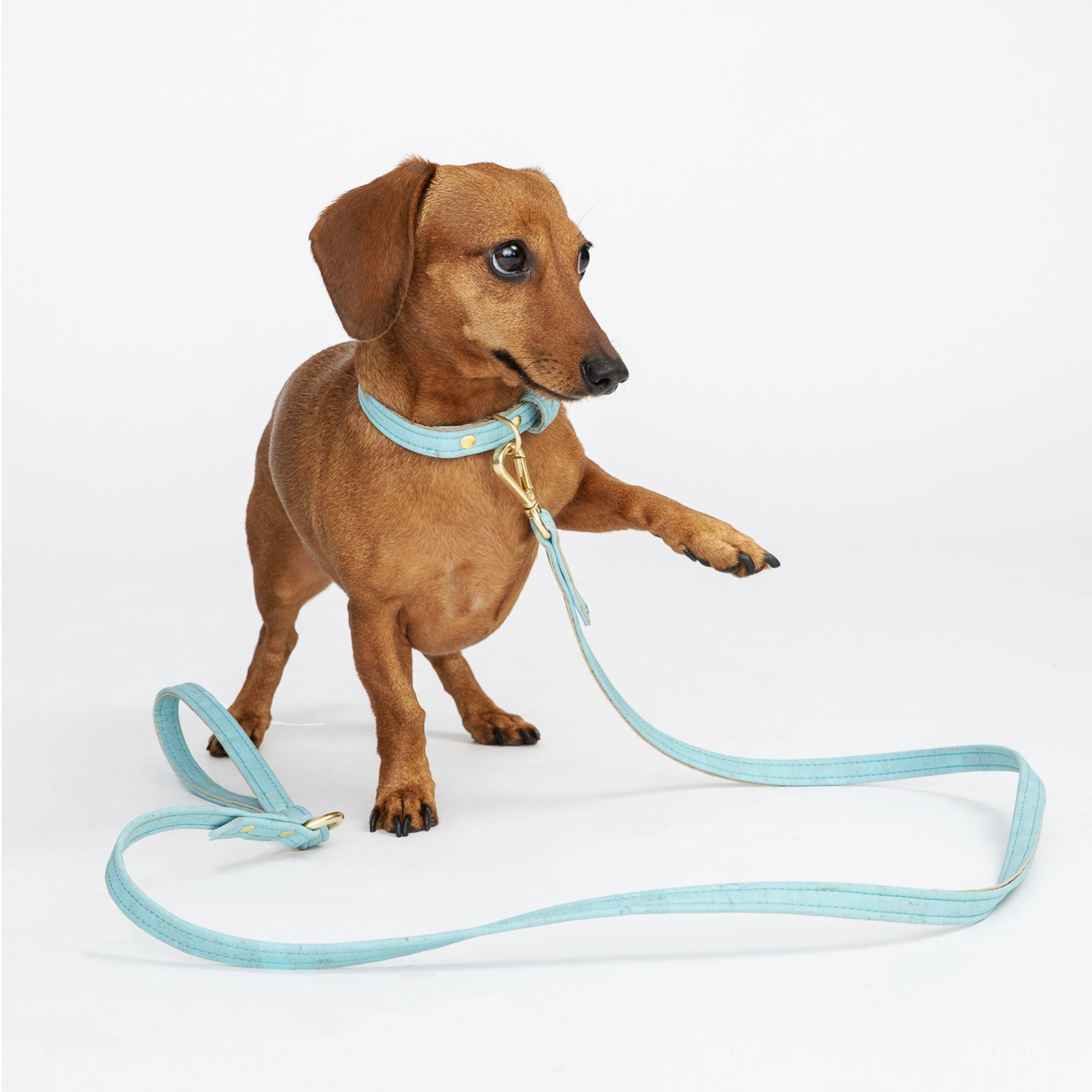 Sky Blue Cork Leather Leash